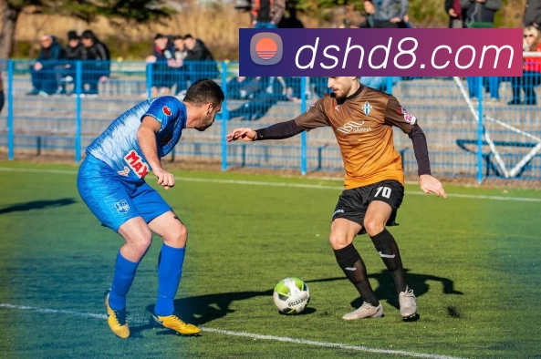 袋鼠直播官网平台生态图