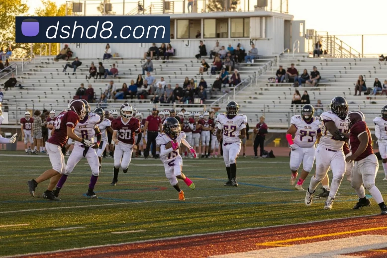 数据防护可视化