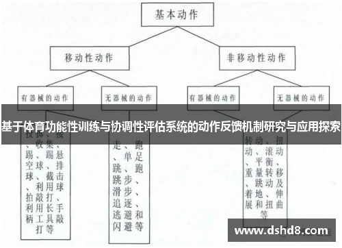 基于体育功能性训练与协调性评估系统的动作反馈机制研究与应用探索